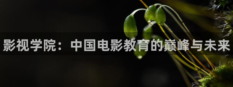 青丝影院官网