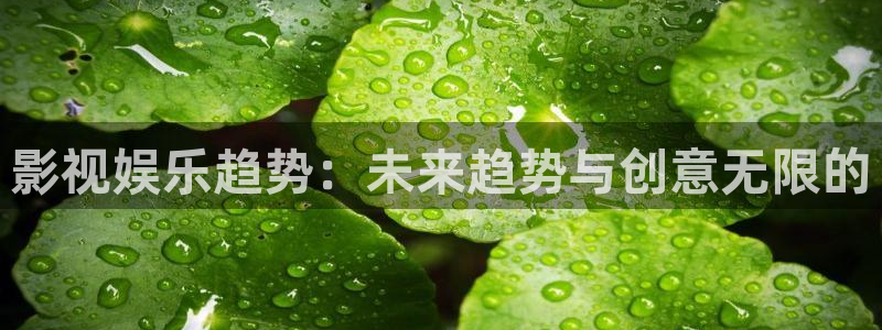 青丝影院电视剧在线播放电视剧