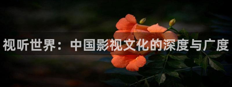 青丝影院免费观看电视剧高清在线播