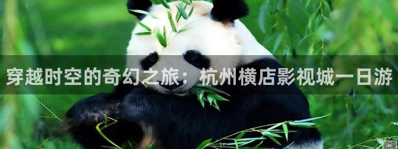 青柠影院免费观看电视剧青丝